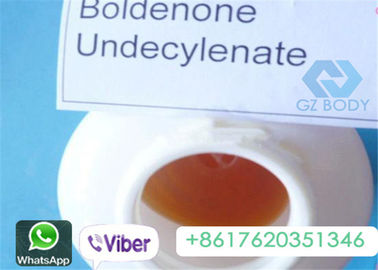 Lo steroide crudo di Boldenone Undecylenate spolverizza l'elevata purezza CAS 10161-34-9