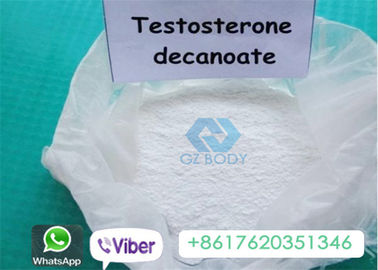 Steroide anabolizzante iniettabile CAS 5721-91-5 del testosterone di Decanoate per perdita di peso